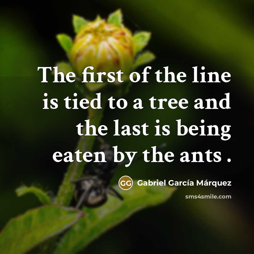 “The first of the line is tied to a tree…” quote by Gabriel Garcia Marquez