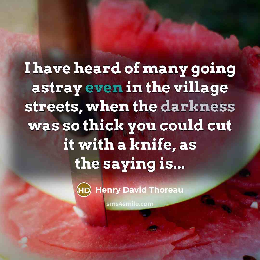 “I have heard of many going astray even in the…” quote by Henry David Thoreau