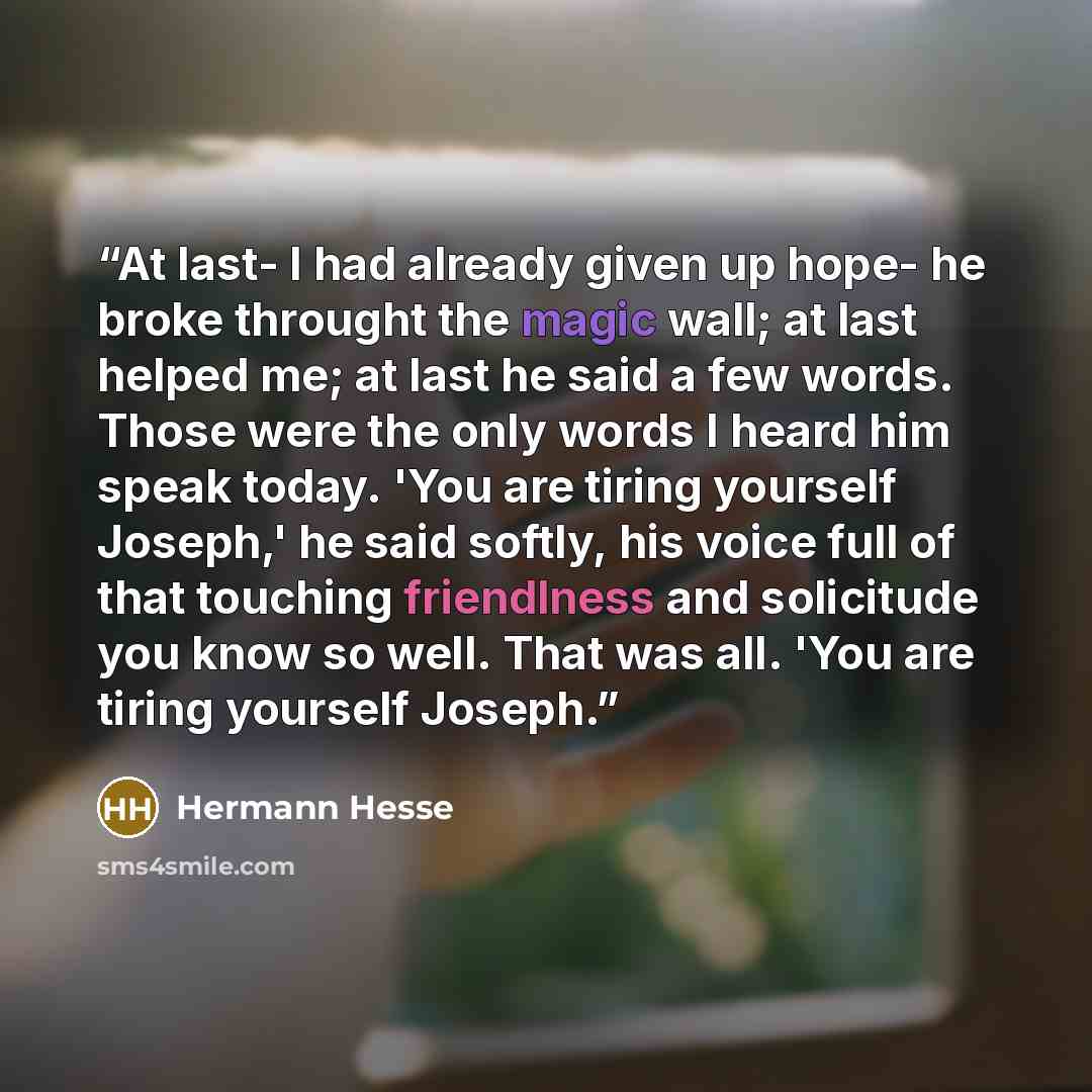 “At last- I had already given up hope- he broke throught the magic wall; at last helped me; at last he said a few words. Those were the only words I heard him speak today. 'You are tiring yourself Joseph,' he said softly, his voice full of that touching friendlness and solicitude you know so well…” quote by Hermann Hesse