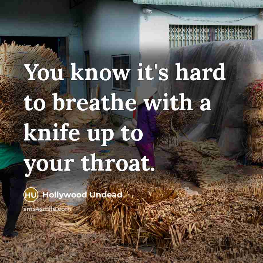“You know it's hard to breathe with a knife up…” quote by Hollywood Undead