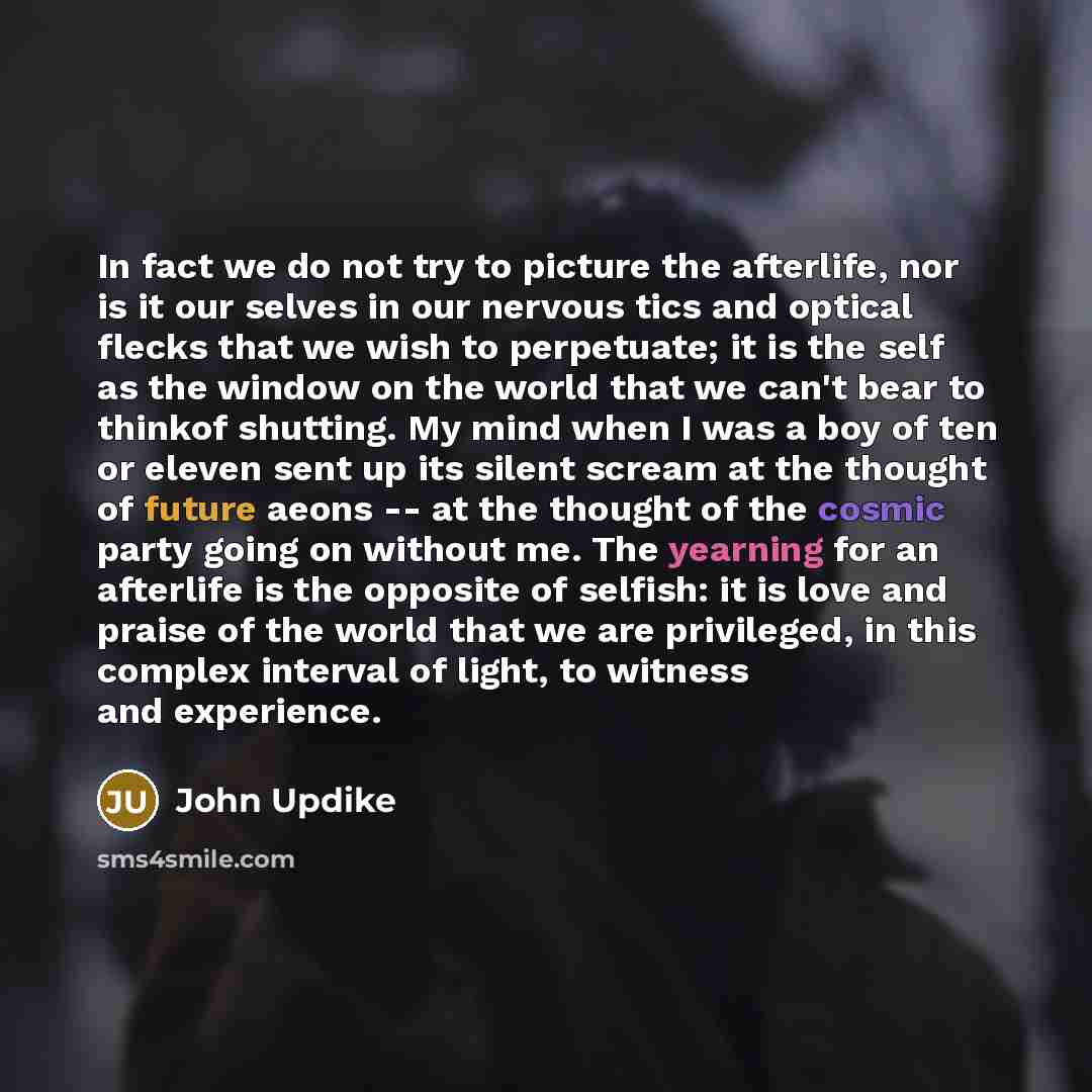 “In fact we do not try to picture the afterlife,…” quote by John Updike