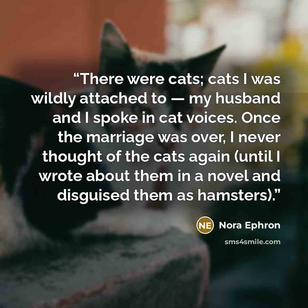 “There were cats; cats I was wildly attached to — my husband and I spoke in cat voices. Once the marriage was over, I never thought of the cats again (until I wrote about them in a novel and disguised them as hamsters).” quote by Nora Ephron