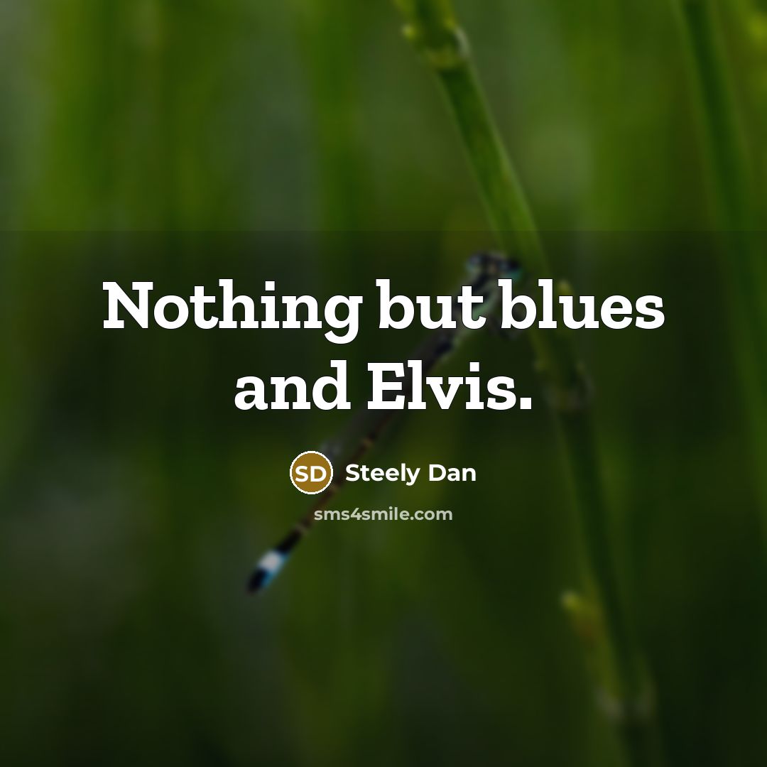 “Nothing but blues and Elvis.…” quote by Steely Dan