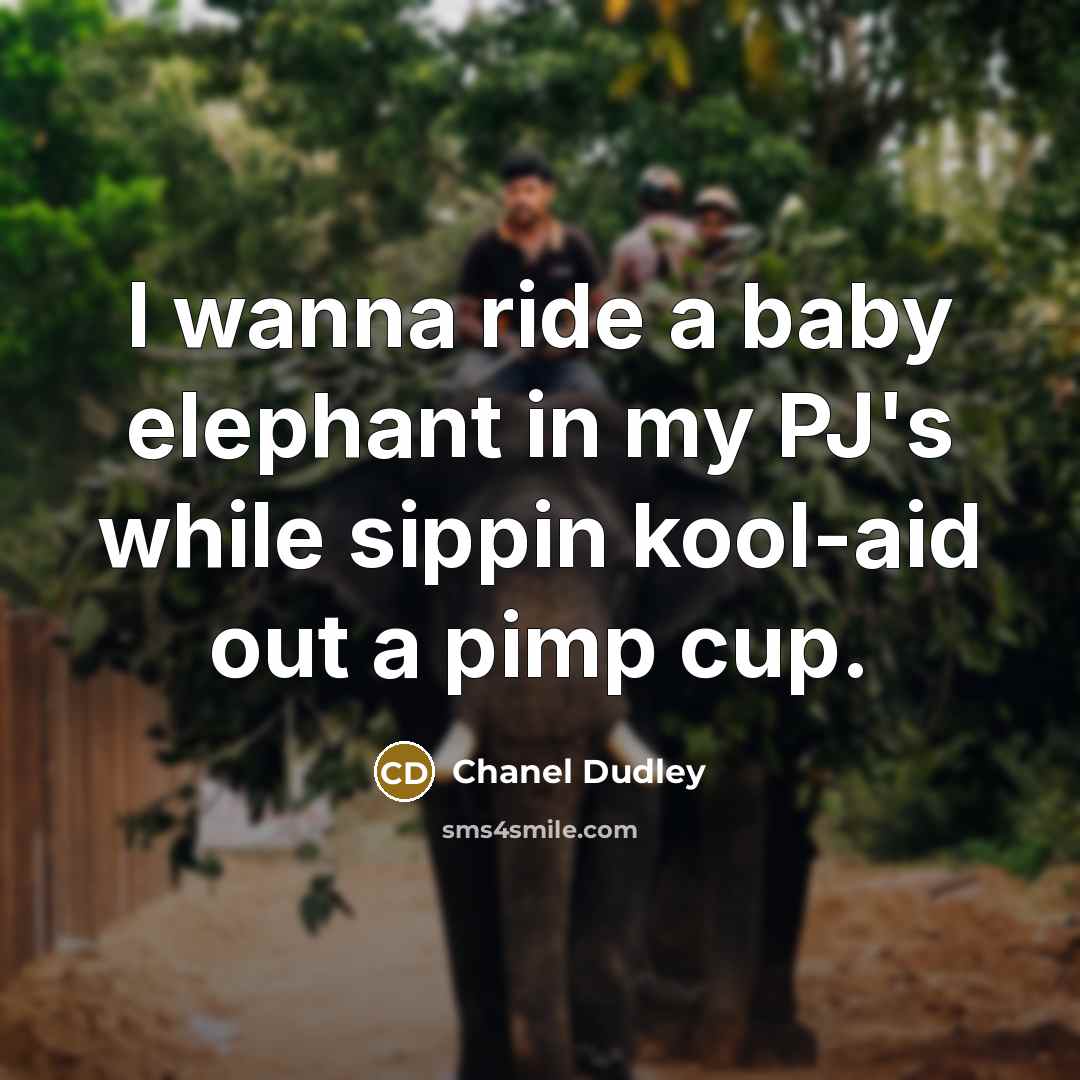 “I wanna ride a baby elephant in my PJ's while sippin kool-aid out a pimp cup.” quote by Chanel Dudley
