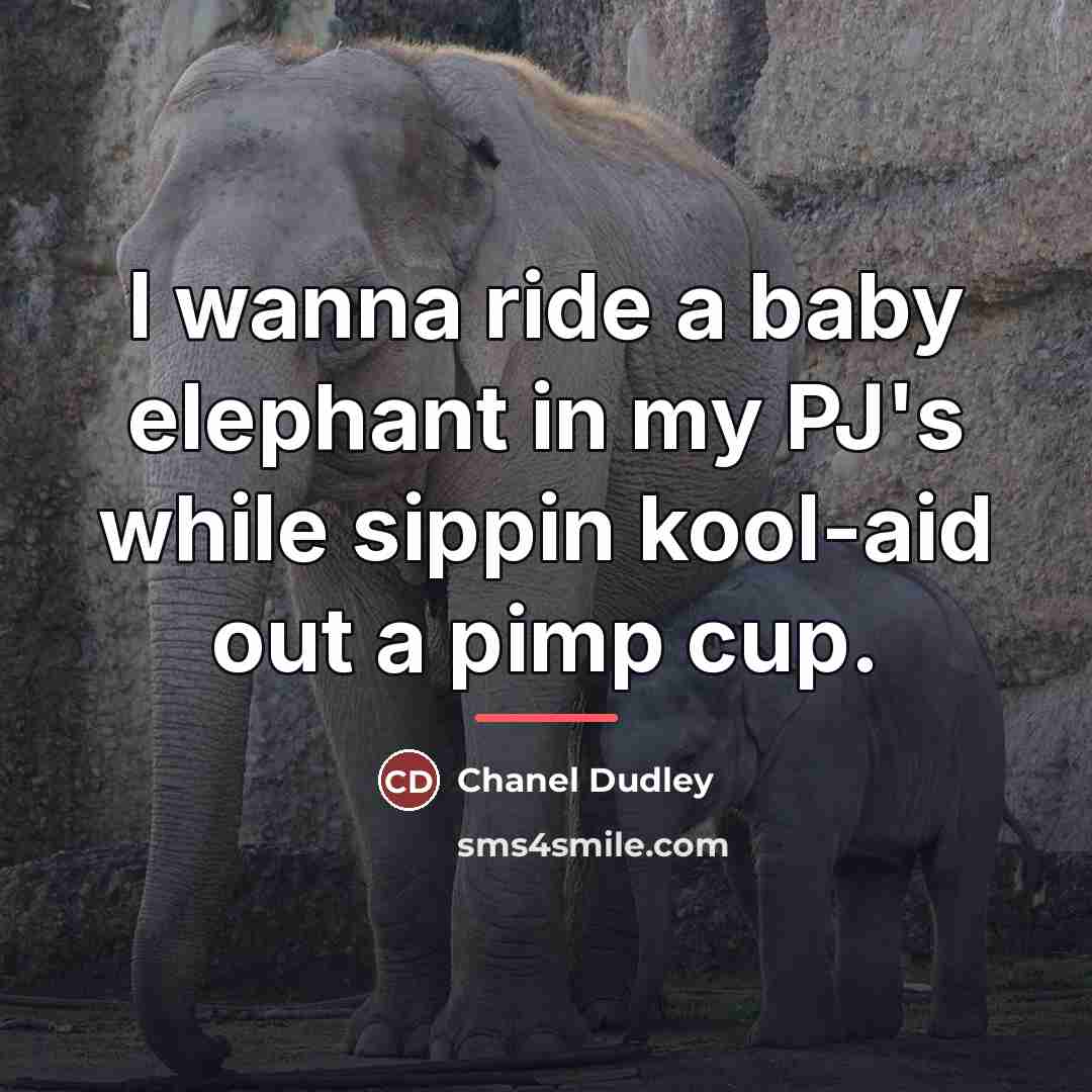 “I wanna ride a baby elephant in my PJ's while…” quote by Chanel Dudley
