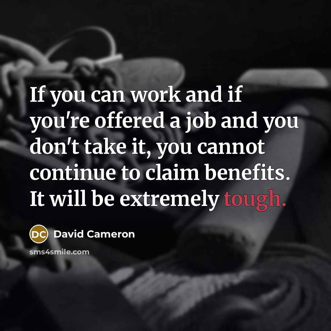 “If you can work and if you're offered a job…” quote by David Cameron