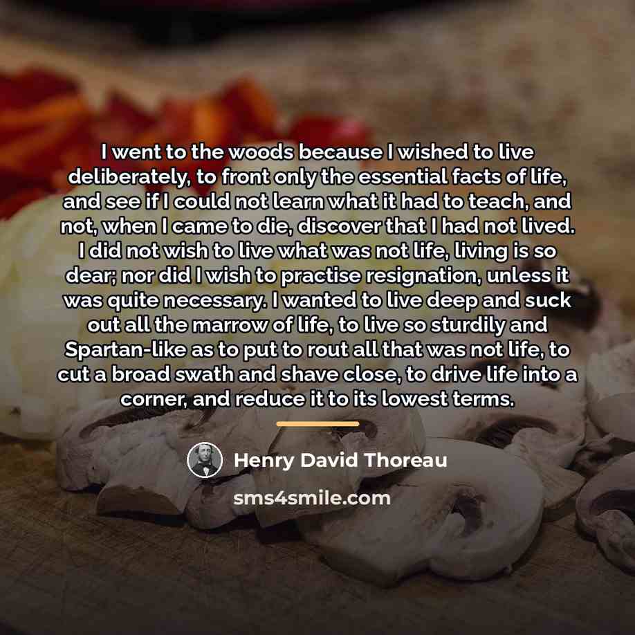 “I went to the woods because I wished to live…” quote by Henry David Thoreau