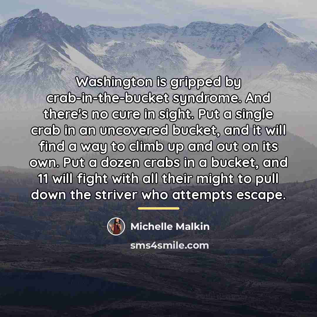 “Washington is gripped by crab-in-the-bucket syndrome. And there's no cure…” quote by Michelle Malkin
