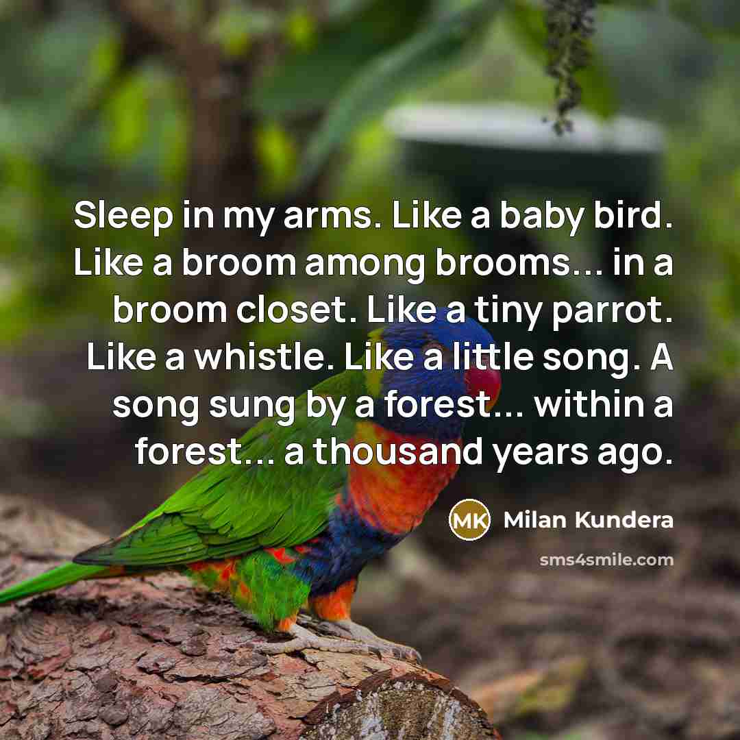 “Sleep in my arms. Like a baby bird. Like a…” quote by Milan Kundera