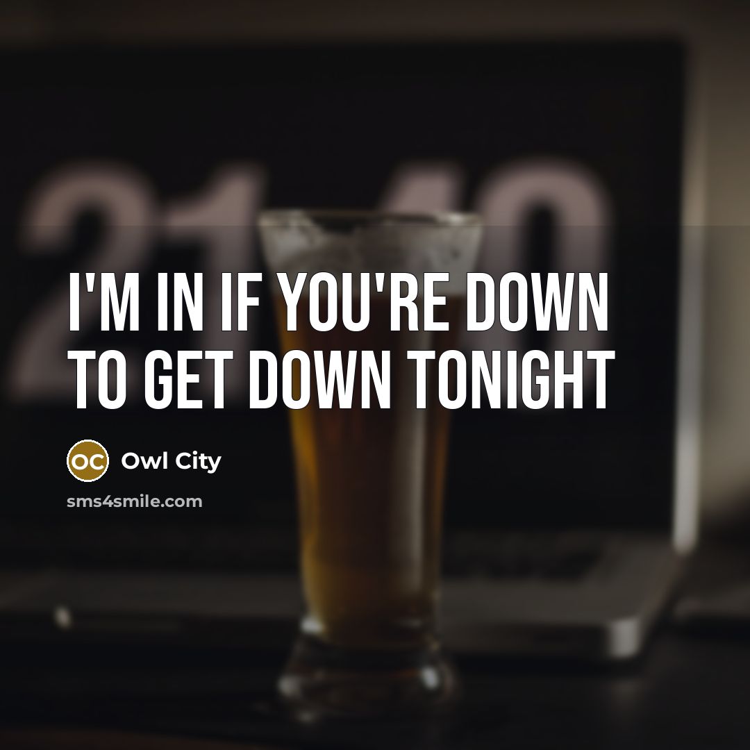 “I'm in if you're down to get down tonight…” quote by Owl City