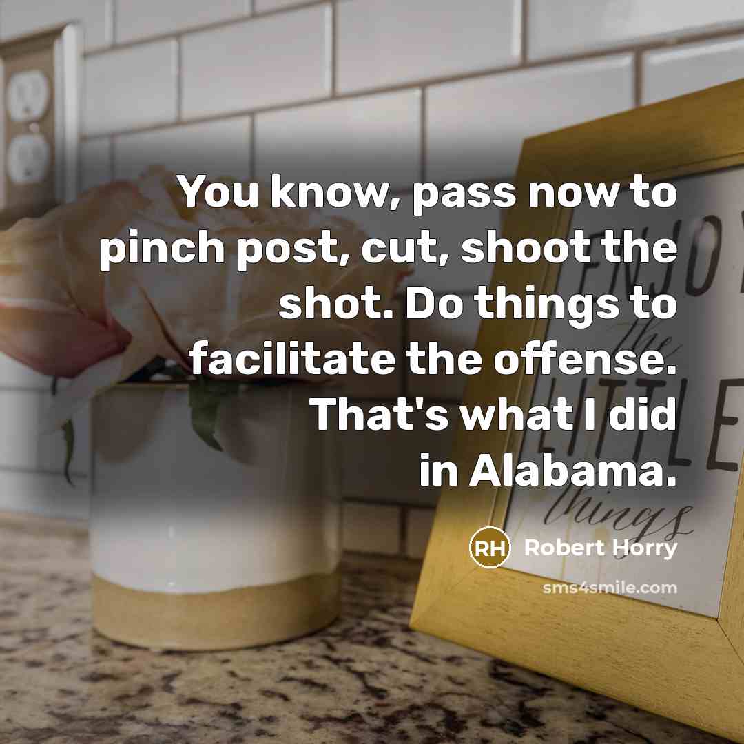 “You know, pass now to pinch post, cut, shoot the…” quote by Robert Horry