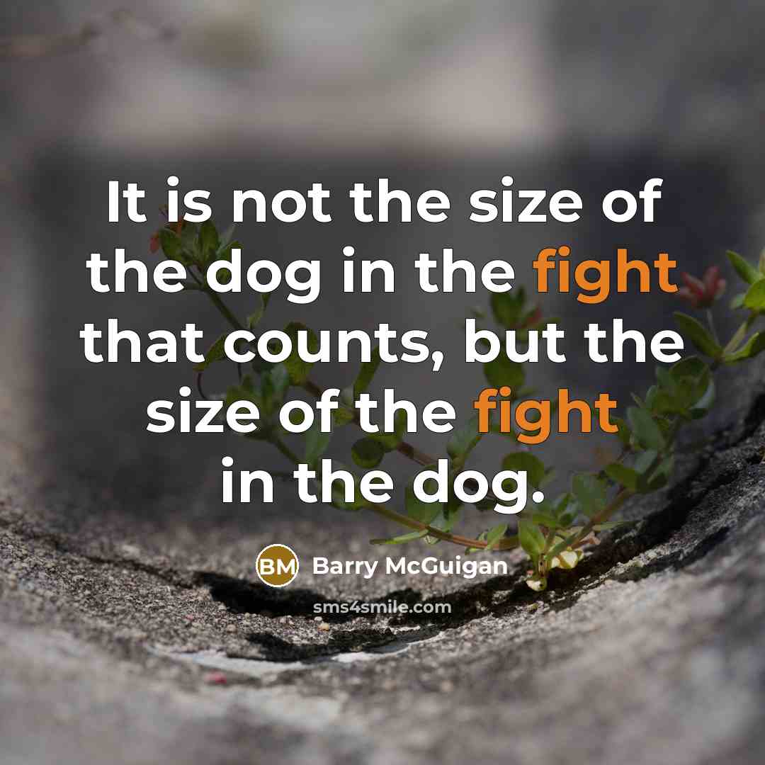 “It is not the size of the dog in the…” quote by Barry McGuigan