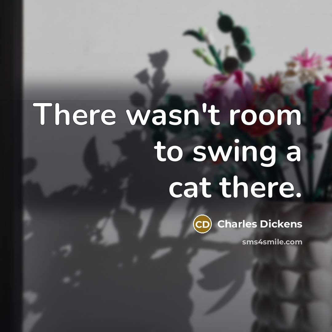 “There wasn't room to swing a cat there.…” quote by Charles Dickens