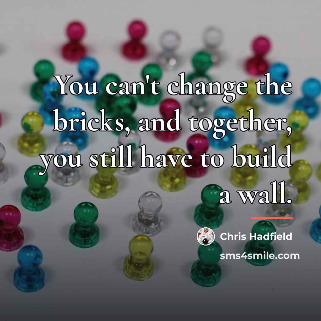 “You can't change the bricks, and together, you still have…” quote by Chris Hadfield