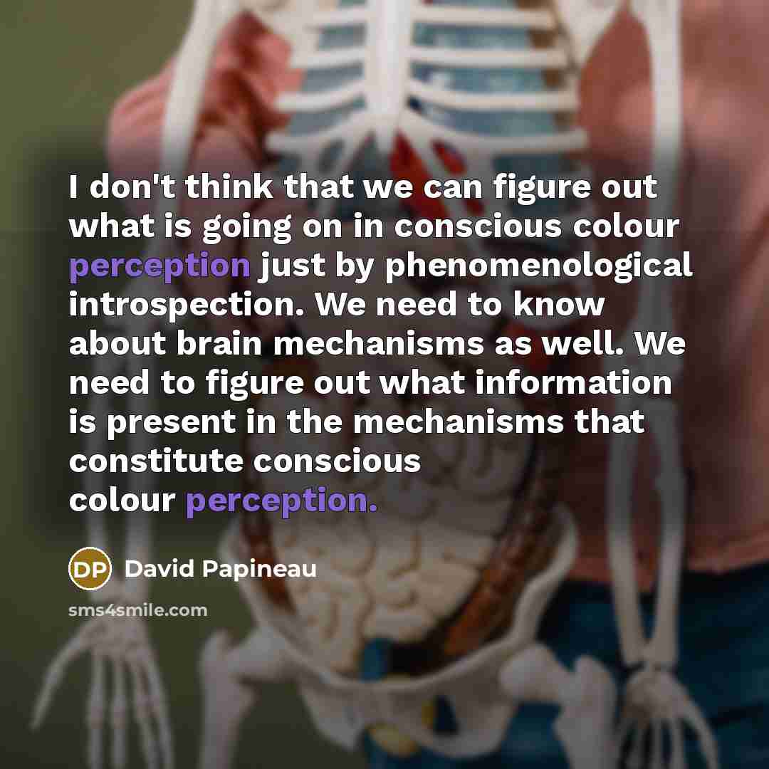 “I don't think that we can figure out what is…” quote by David Papineau