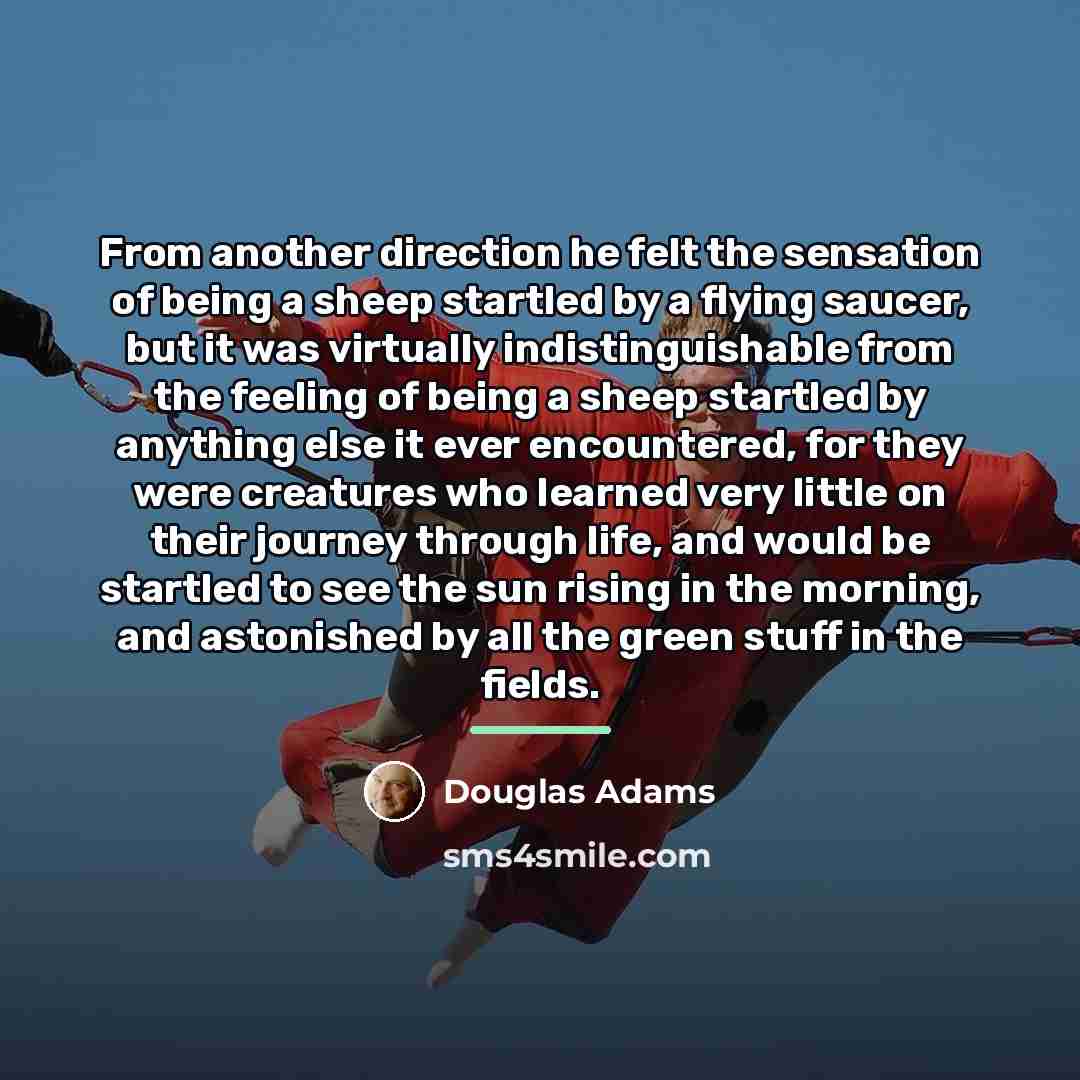 “From another direction he felt the sensation of being a…” quote by Douglas Adams