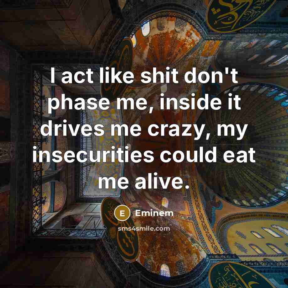 “I act like shit don`t phase me, inside it drives…” quote by Eminem