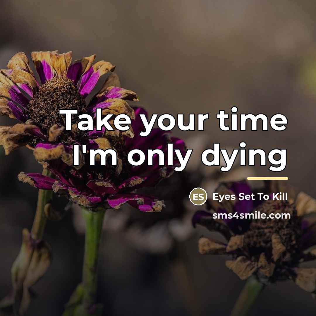 “Take your time I'm only dying…” quote by Eyes Set To Kill