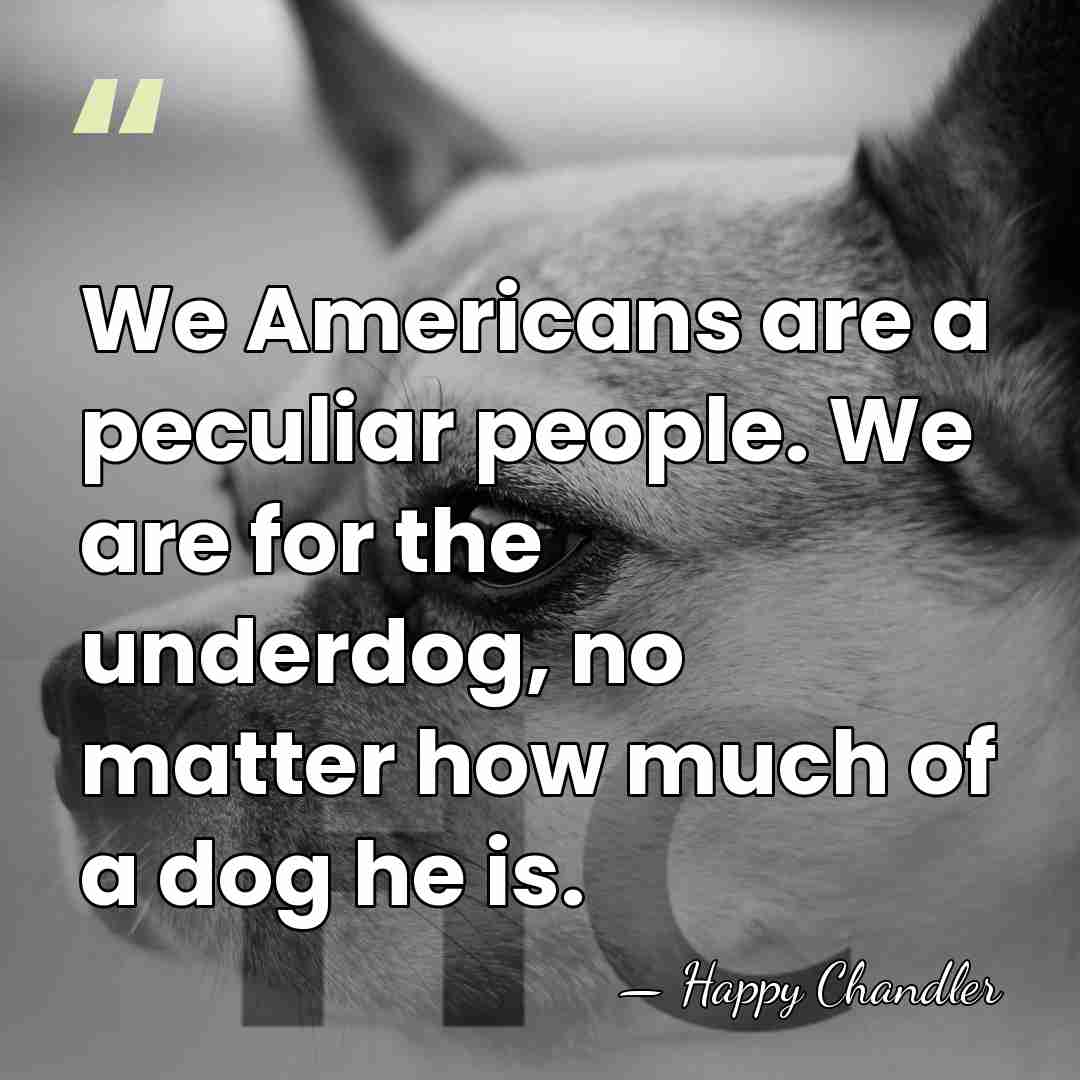 We Americans are a peculiar people. We are for the underdog, no&hellip; - Happy Chandler