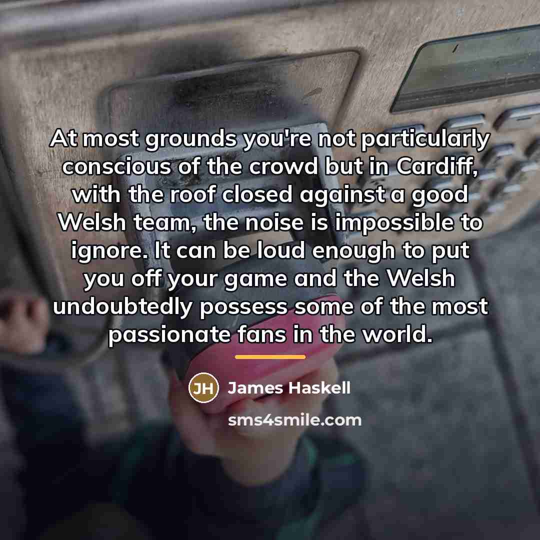 “At most grounds you're not particularly conscious of the crowd…” quote by James Haskell