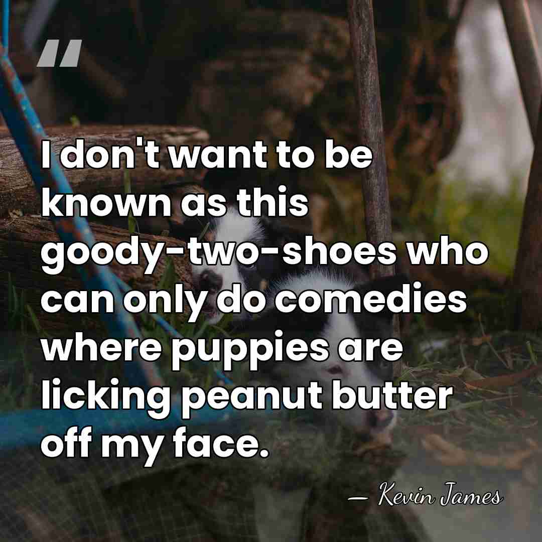 I don't want to be known as this goody-two-shoes who can only&hellip; - Kevin James