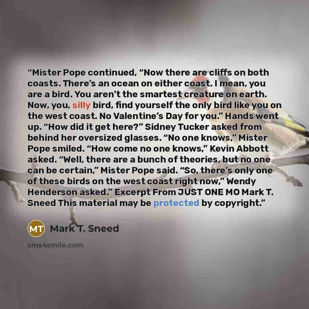 “Mister Pope continued, “Now there are cliffs on both coasts. There’s an ocean on either coast. I mean, you are a bird. You aren’t the smartest creature on earth. Now, you, silly bird, find yourself the only bird like you on the west coast. No Valentine’s Day for you.” Hands went up. “How did it…” quote by Mark T. Sneed