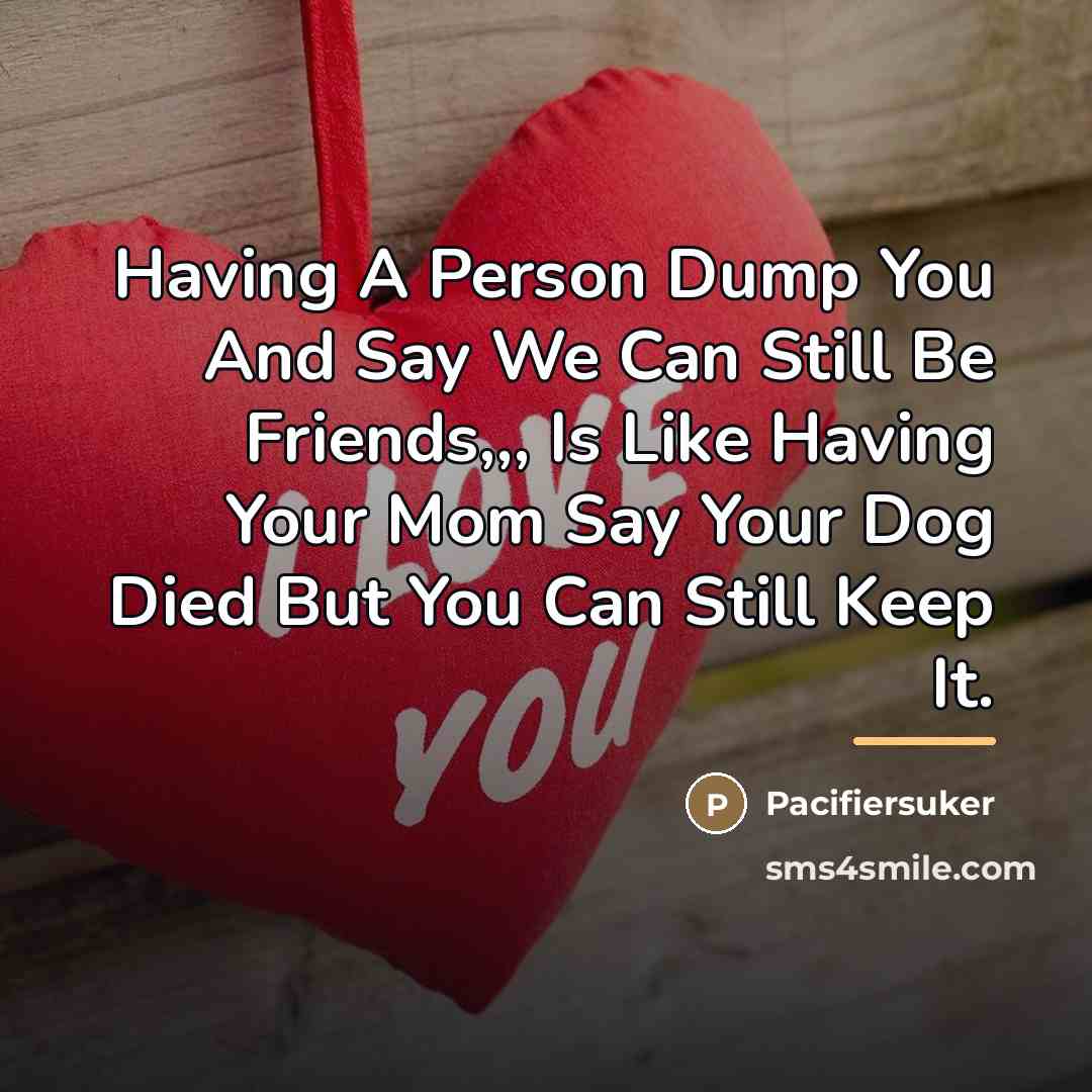 “Having A Person Dump You And Say We Can Still…” quote by Pacifiersuker
