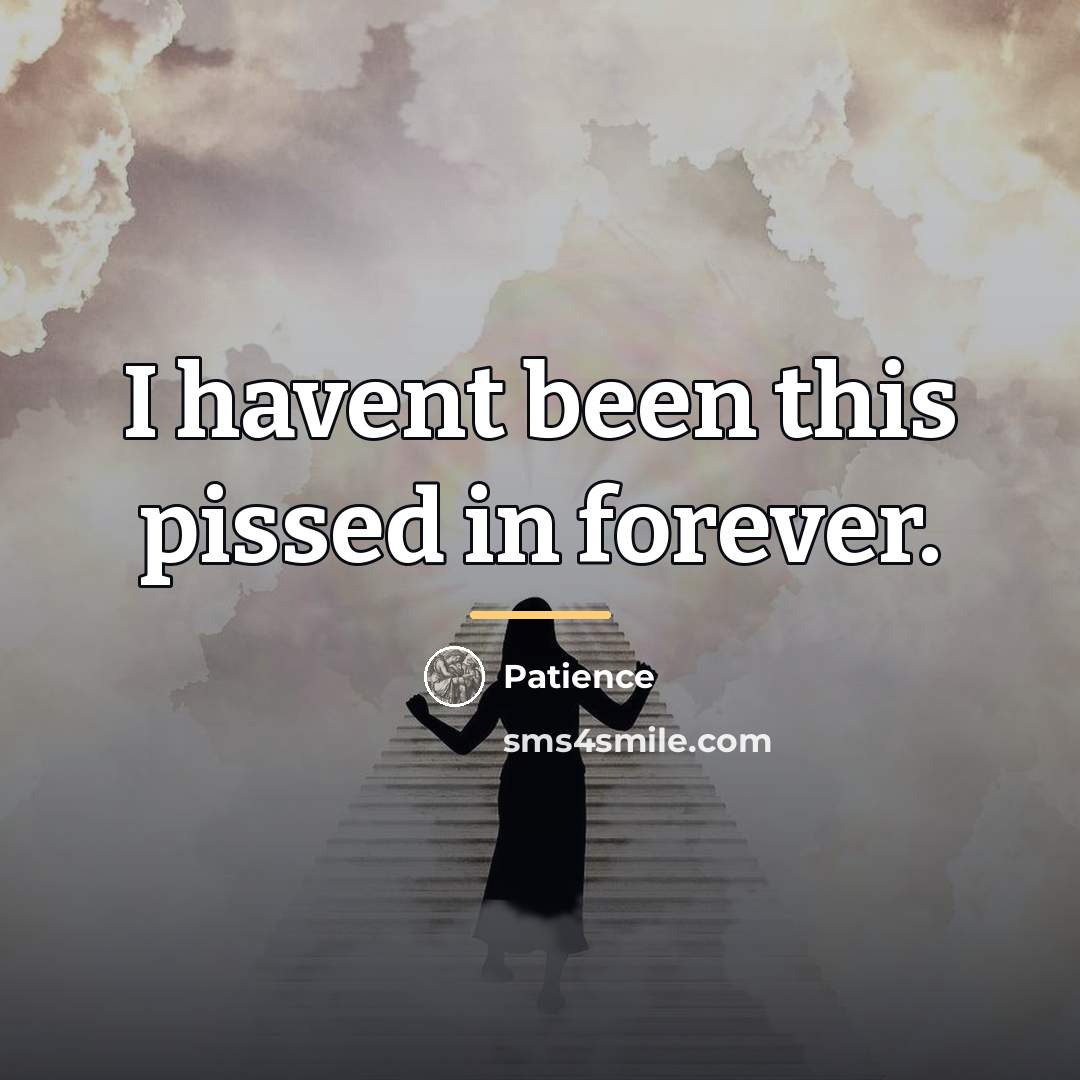 “I havent been this pissed in forever.…” quote by Patience