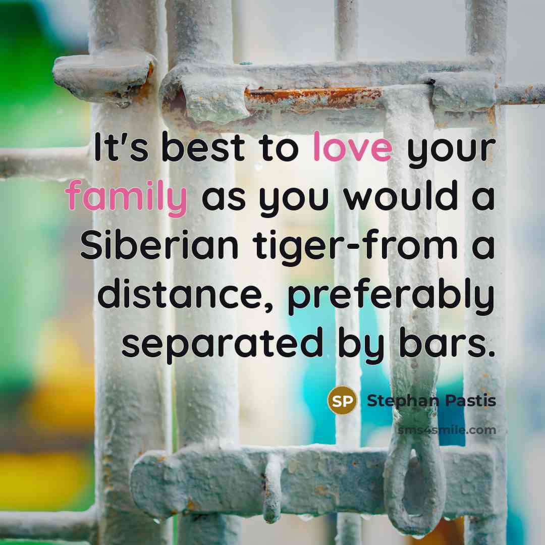 “It's best to love your family as you would a…” quote by Stephan Pastis