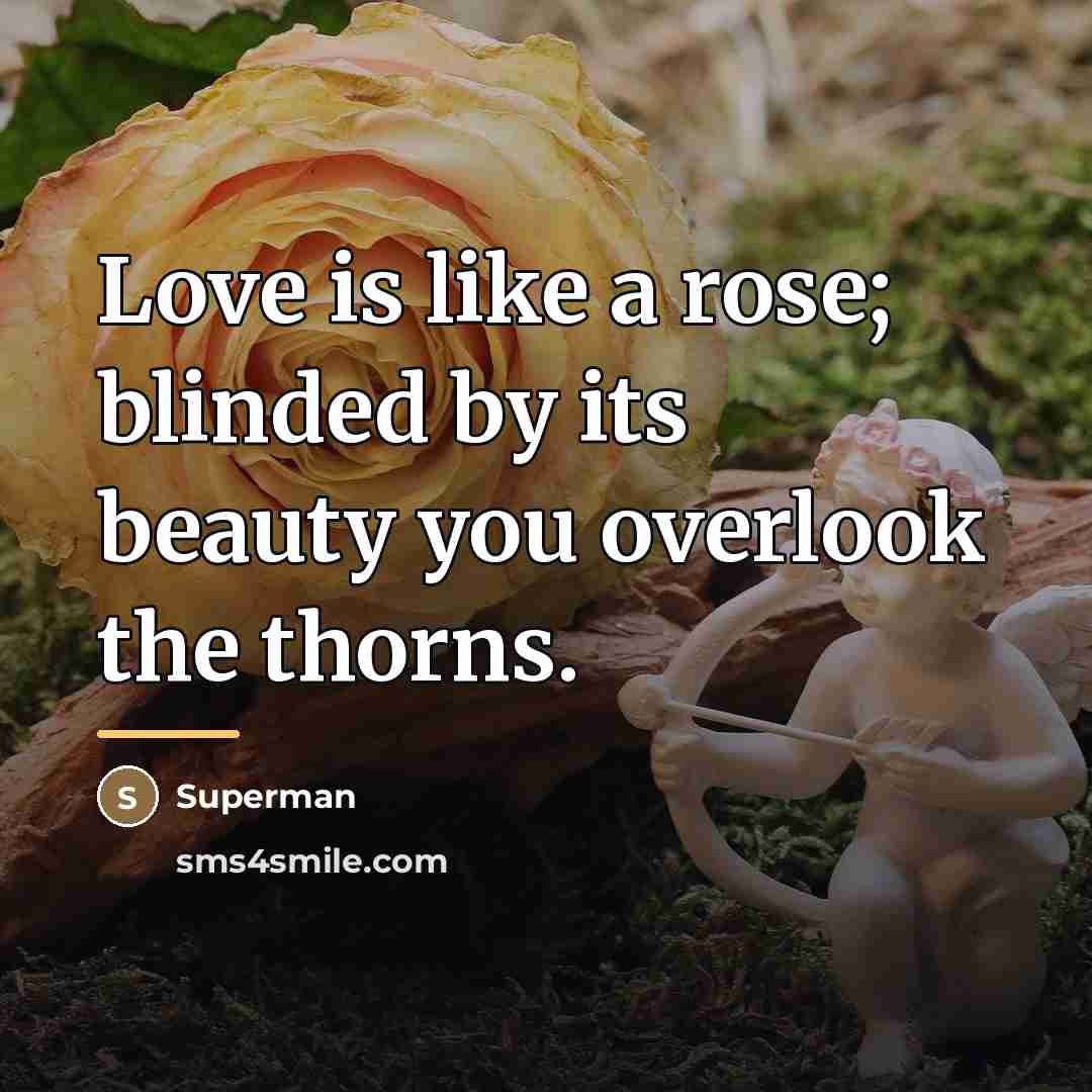 “Love is like a rose; blinded by its beauty you…” quote by Superman