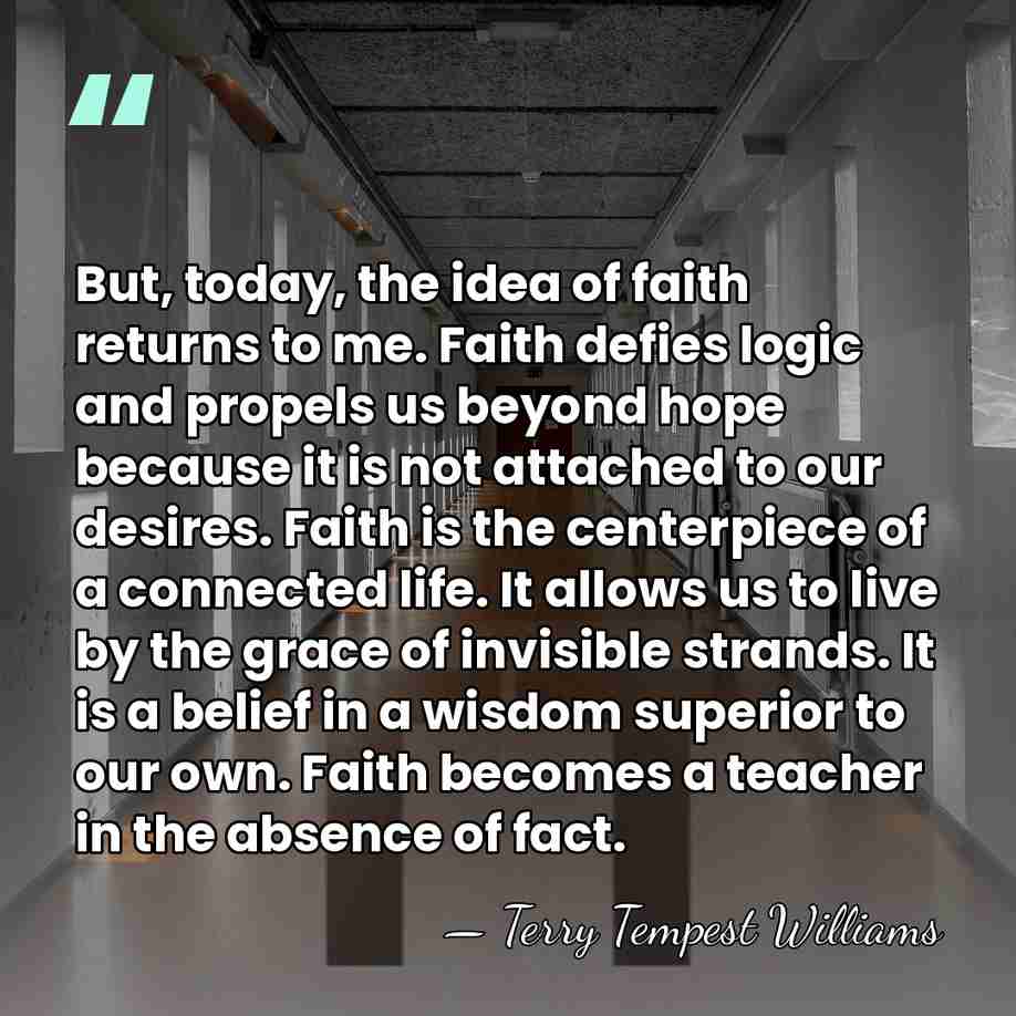 But, today, the idea of faith returns to me. Faith defies logic&hellip; - Terry Tempest Williams