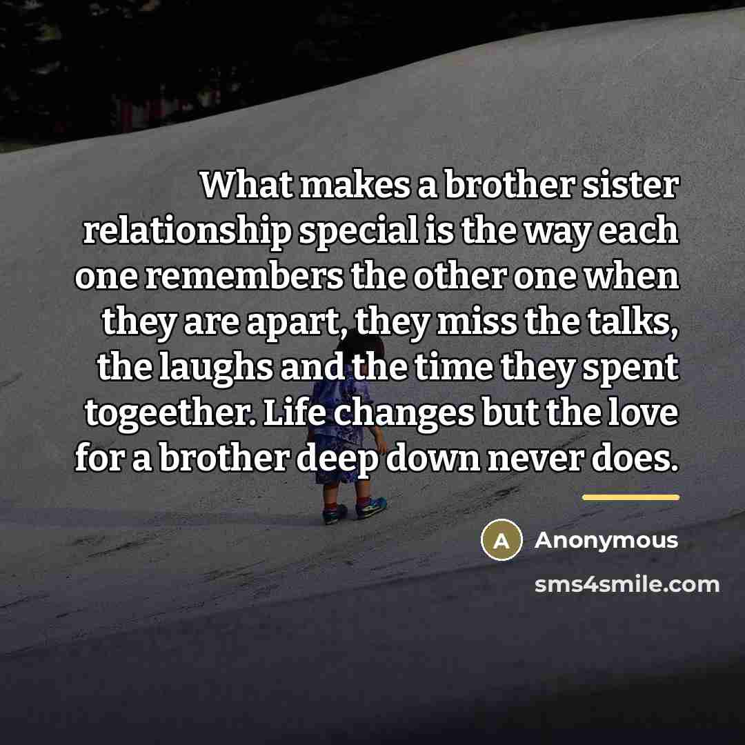 “What makes a brother sister relationship special is the way…” quote by Anonymous