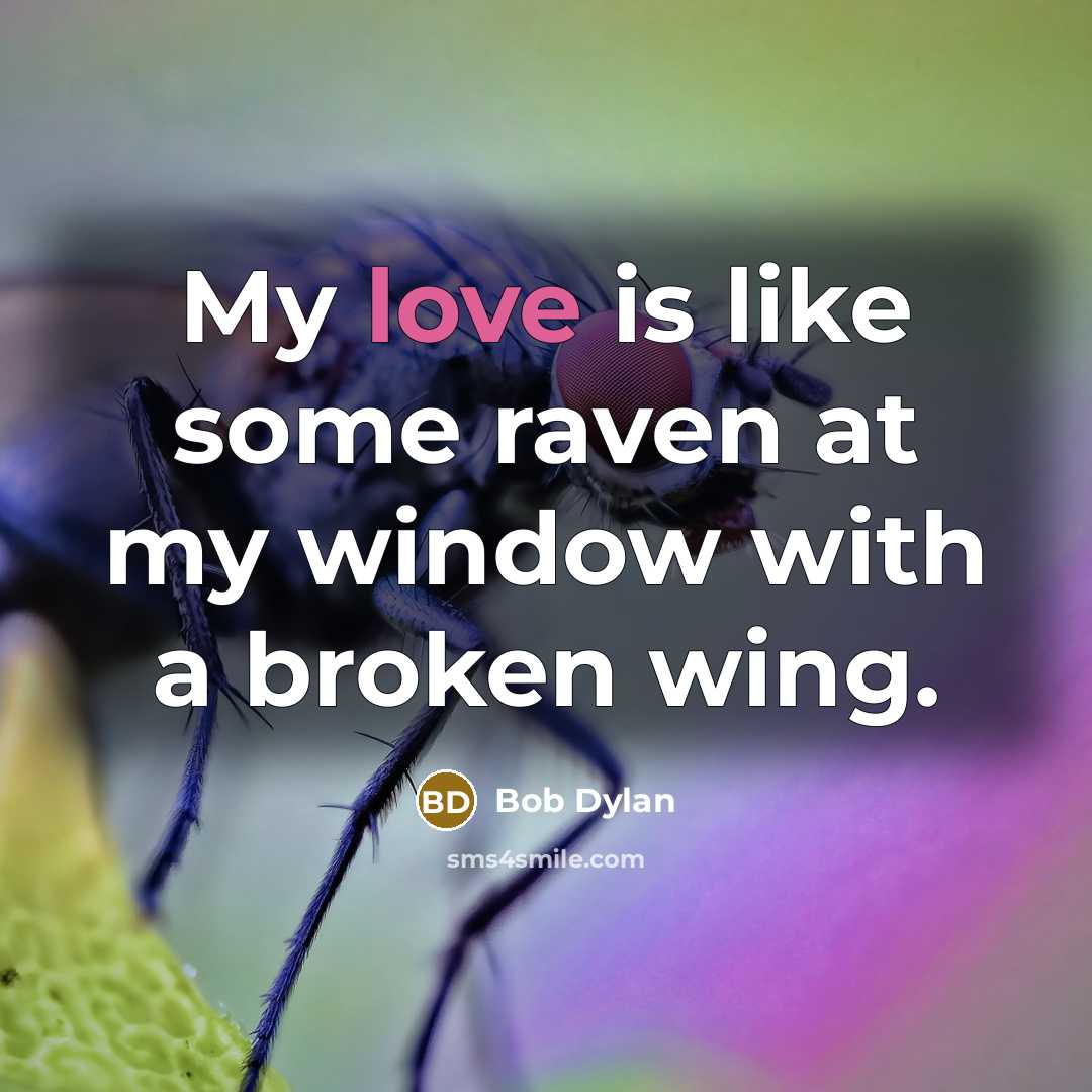 “My love is like some raven at my window with…” quote by Bob Dylan