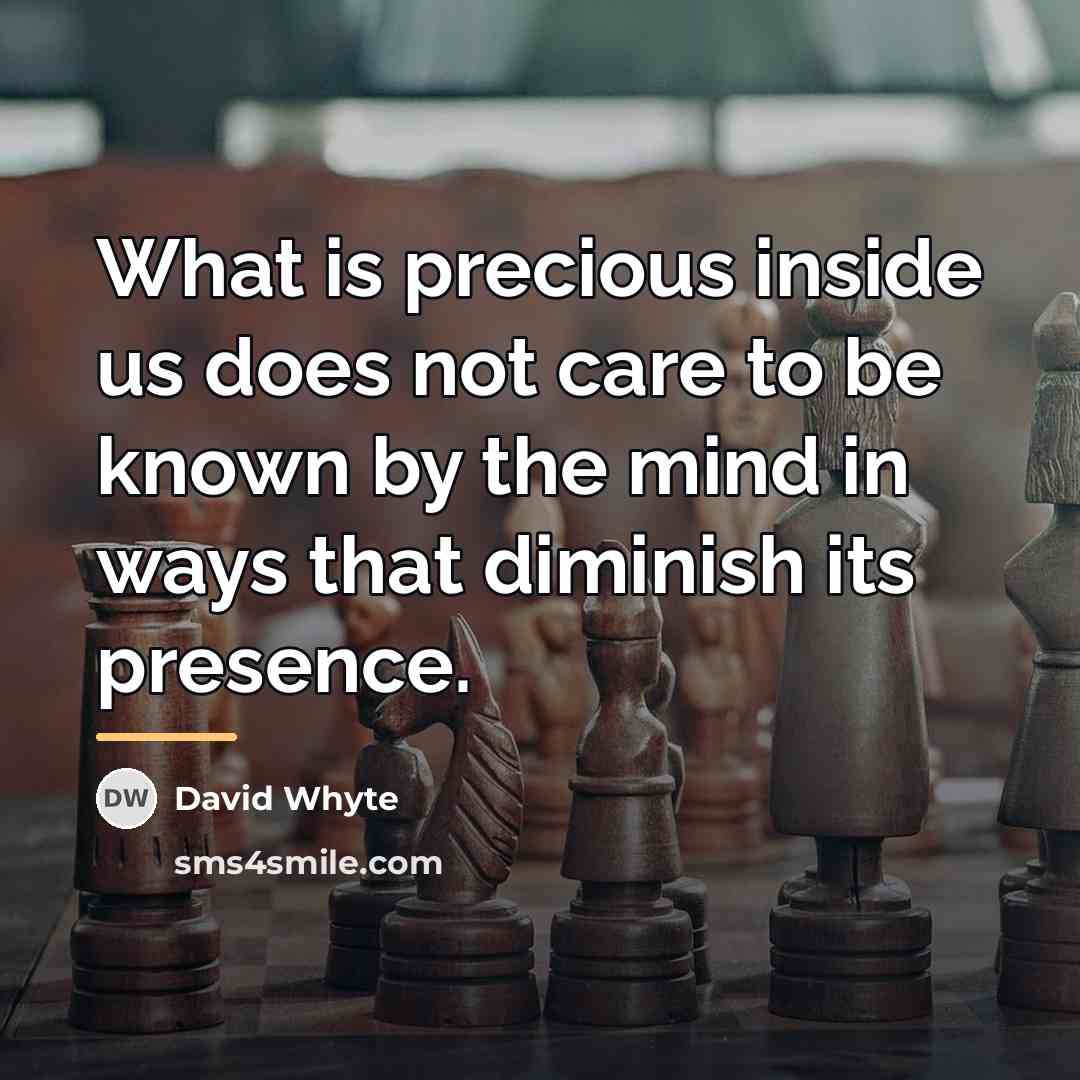 “What is precious inside us does not care to be…” quote by David Whyte