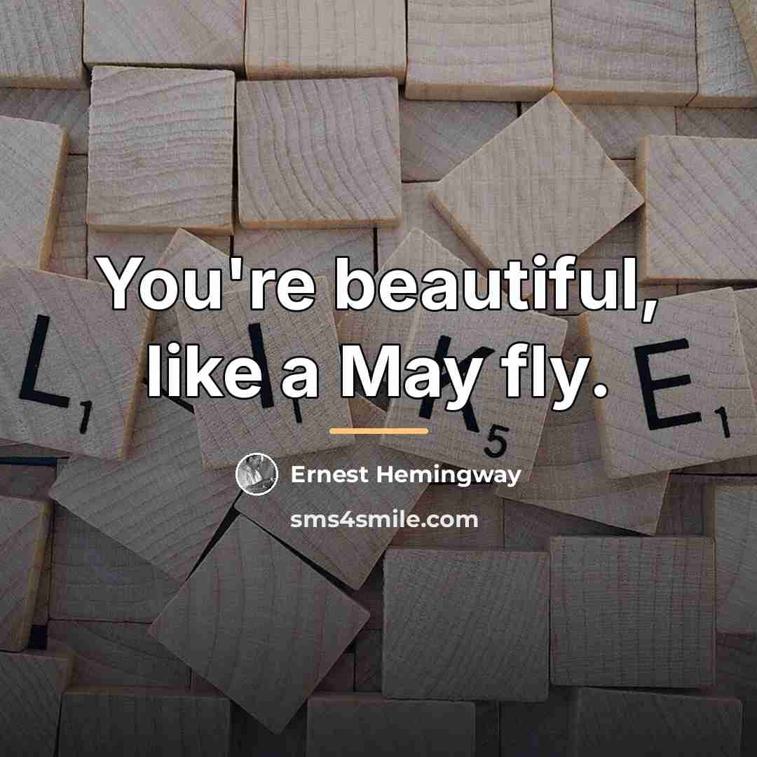 “You're beautiful, like a May fly.…” quote by Ernest Hemingway