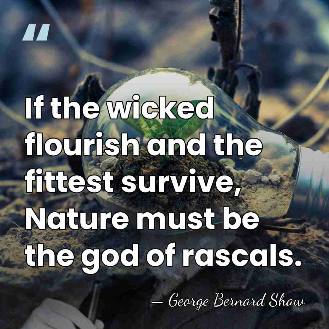 If the wicked flourish and the fittest survive, Nature must be the&hellip; - George Bernard Shaw