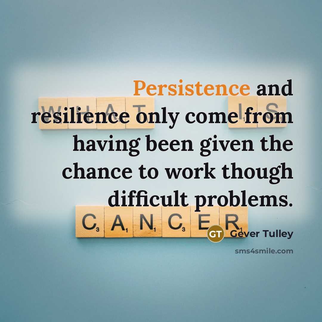 “Persistence and resilience only come from having been given the…” quote by Gever Tulley