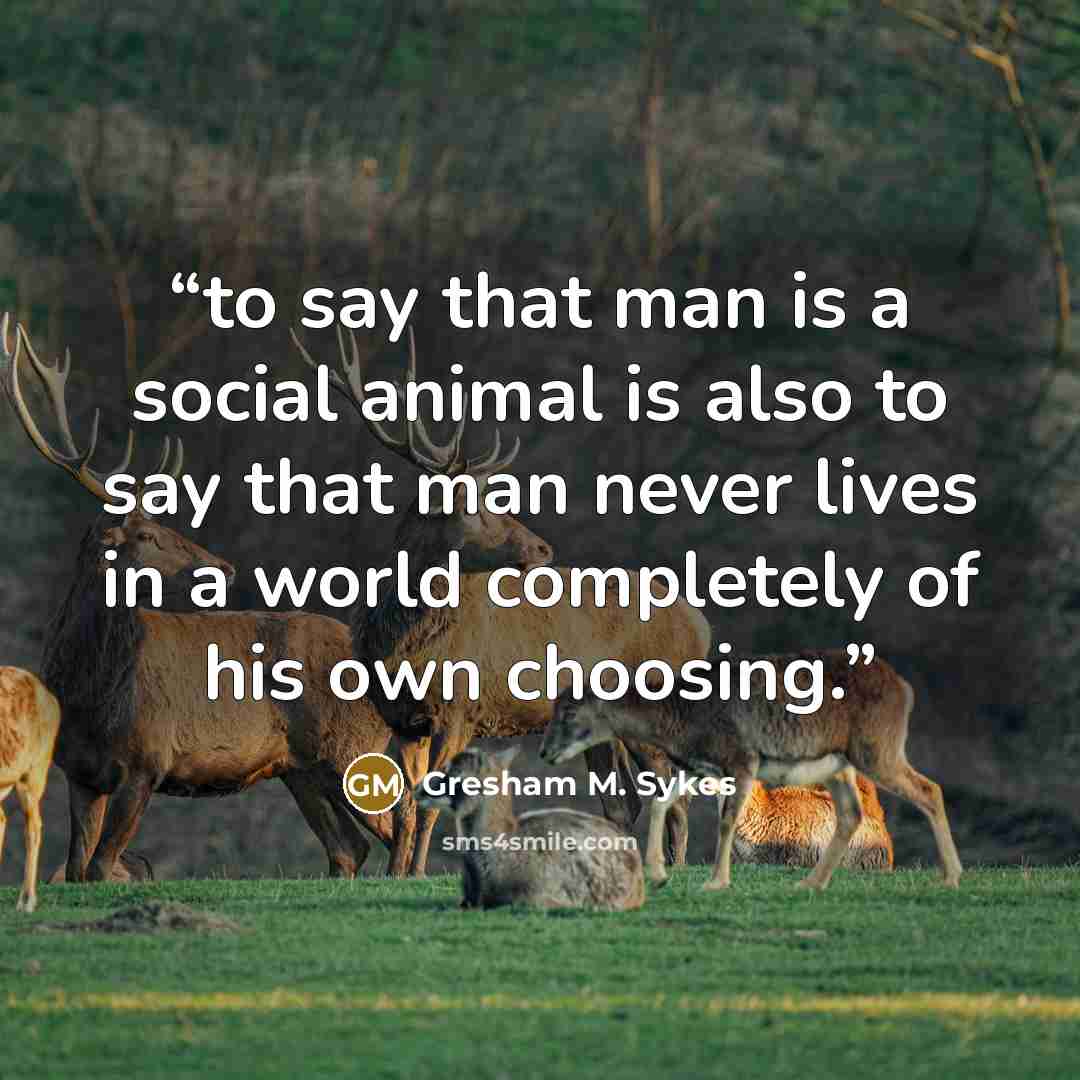 “to say that man is a social animal is also to say that man never lives in a world completely of his own choosing.” quote by Gresham M. Sykes