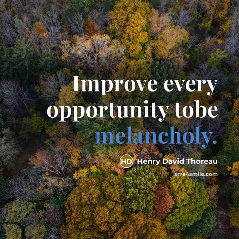 “Improve every opportunity tobe melancholy.…” quote by Henry David Thoreau
