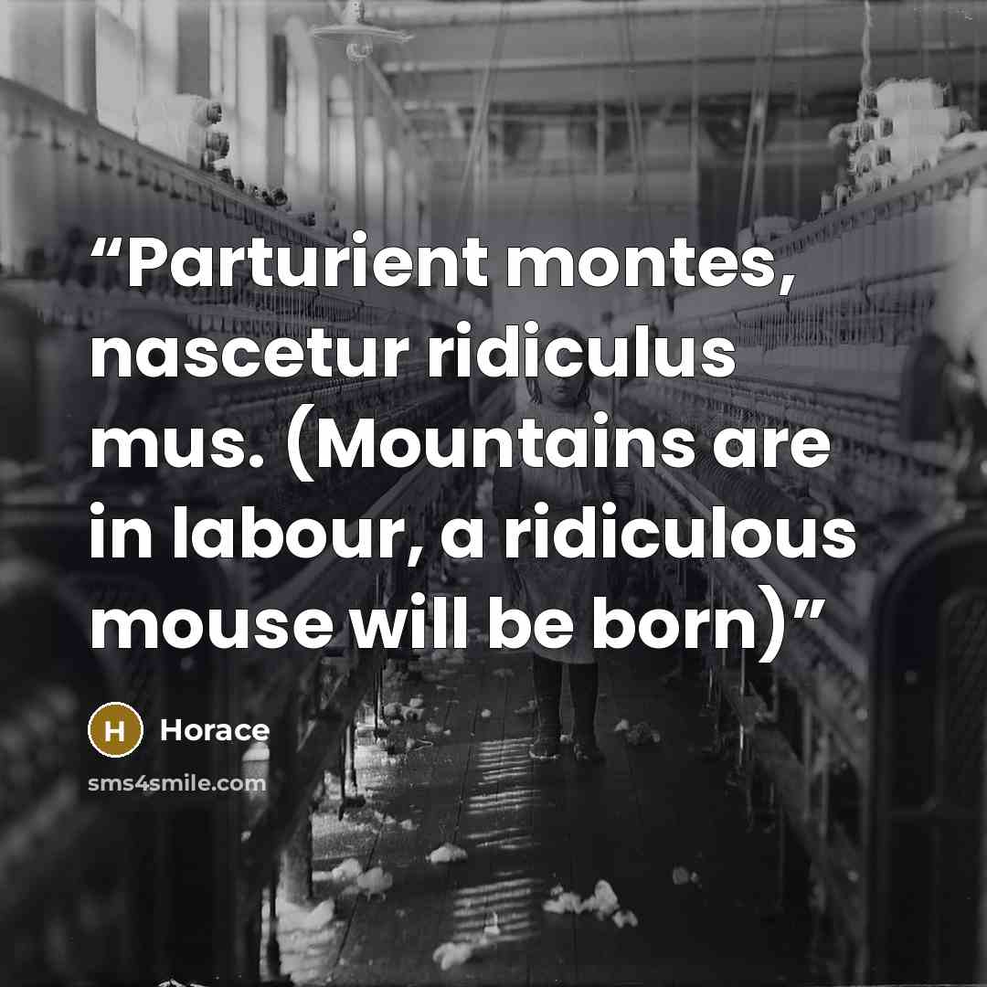 “Parturient montes, nascetur ridiculus mus. (Mountains are in labour, a ridiculous mouse will be born)” quote by Horace