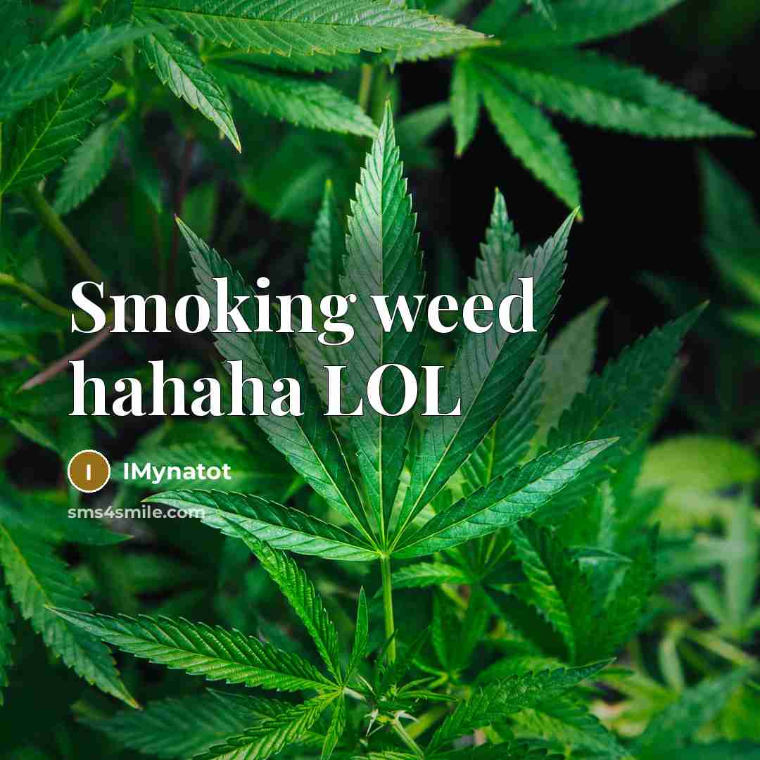 “Smoking weed hahaha LOL” quote by IMynatot