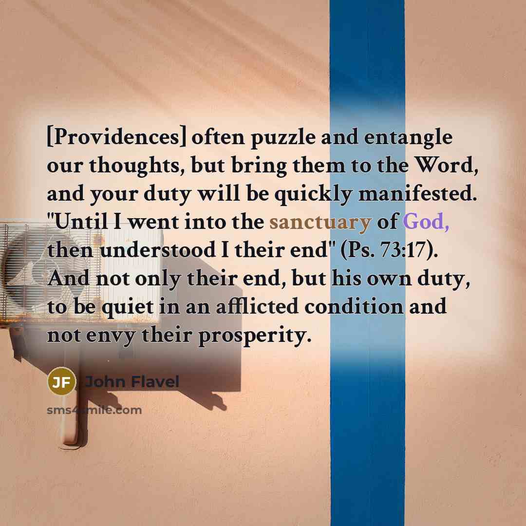 “[Providences] often puzzle and entangle our thoughts, but bring them…” quote by John Flavel