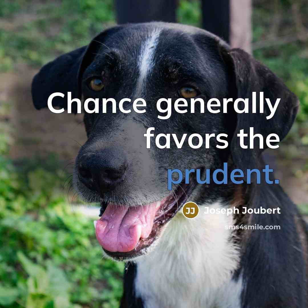 “Chance generally favors the prudent.…” quote by Joseph Joubert