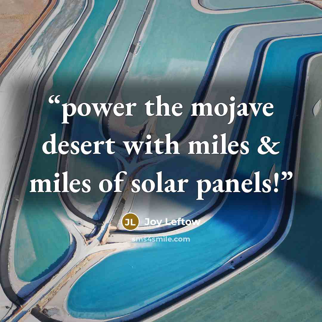“power the mojave desert with miles & miles of solar panels!” quote by Joy Leftow