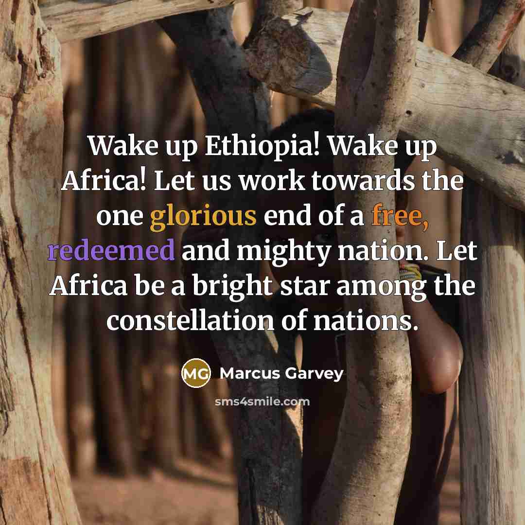 “Wake up Ethiopia! Wake up Africa! Let us work towards the one glorious end of a free, redeemed and mighty nation. Let Africa be a bright star among the constellation of nations.” quote by Marcus Garvey