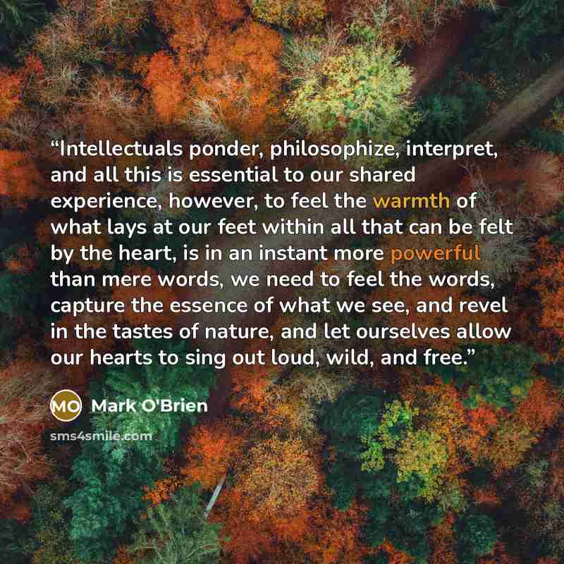 “Intellectuals ponder, philosophize, interpret, and all this is essential to our shared experience, however, to feel the warmth of what lays at our feet within all that can be felt by the heart, is in an instant more powerful than mere words, we need to feel the words, capture the essence of what…” quote by Mark O'Brien