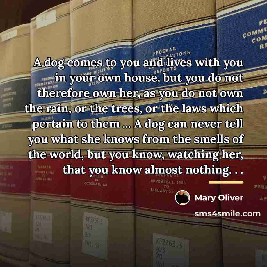 “A dog comes to you and lives with you in…” quote by Mary Oliver