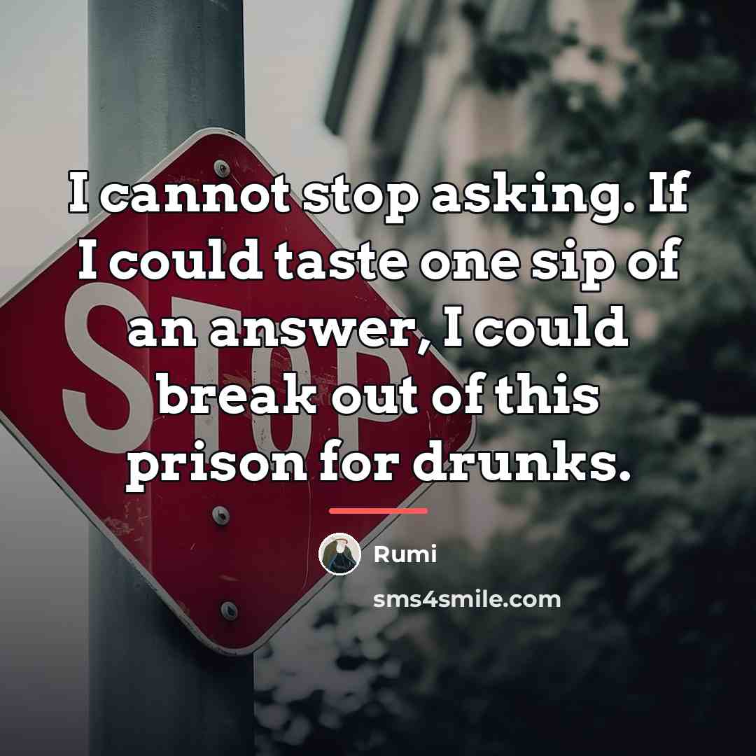 “I cannot stop asking. If I could taste one sip…” quote by Rumi