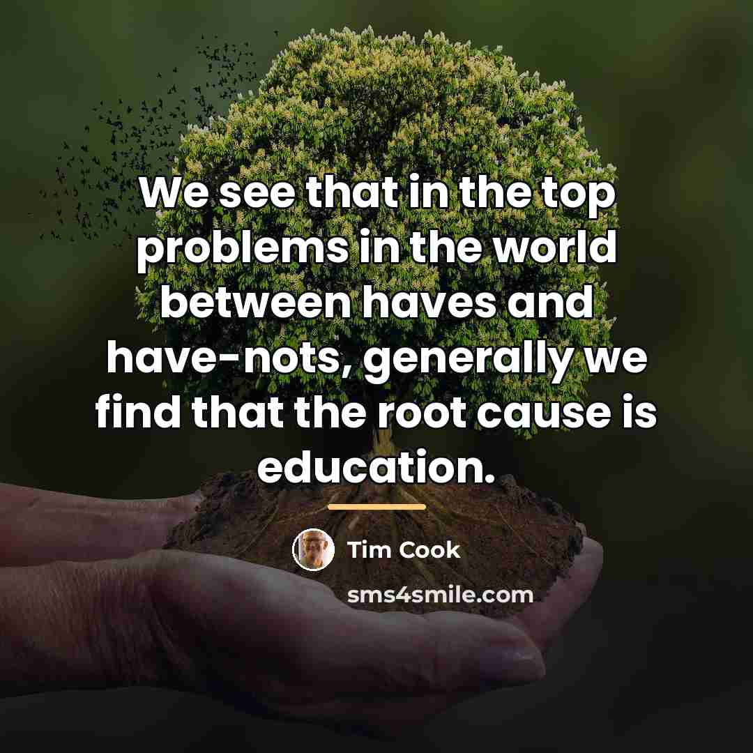 “We see that in the top problems in the world…” quote by Tim Cook