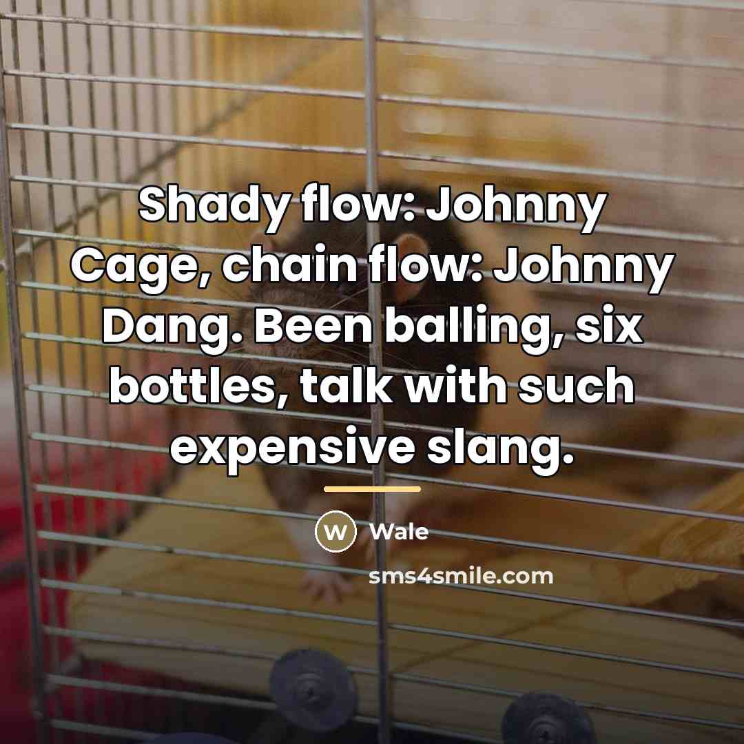 “Shady flow: Johnny Cage, chain flow: Johnny Dang. Been balling,…” quote by Wale